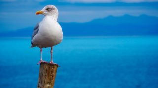 「もっと安くならないの?」と値下げ交渉されたらすべき?