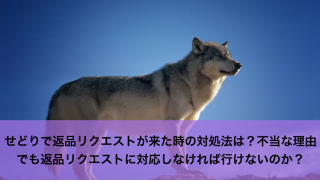 せどりで返品リクエストが来た時の対処法は?不当な理由でも返品リクエストに対応しなければ行けないのか?